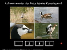 Test_ Enten-Gänse-Bilder-zuordnen.pdf